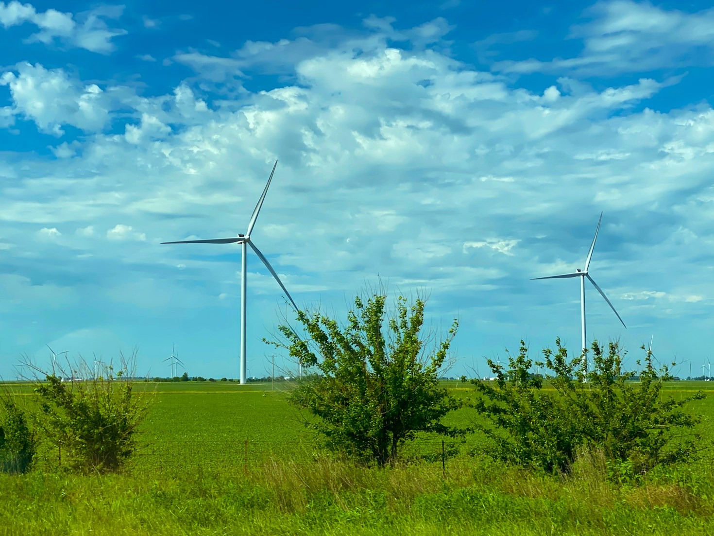 JSC Pomorpet’s Commitment to Clean Energy Solutions